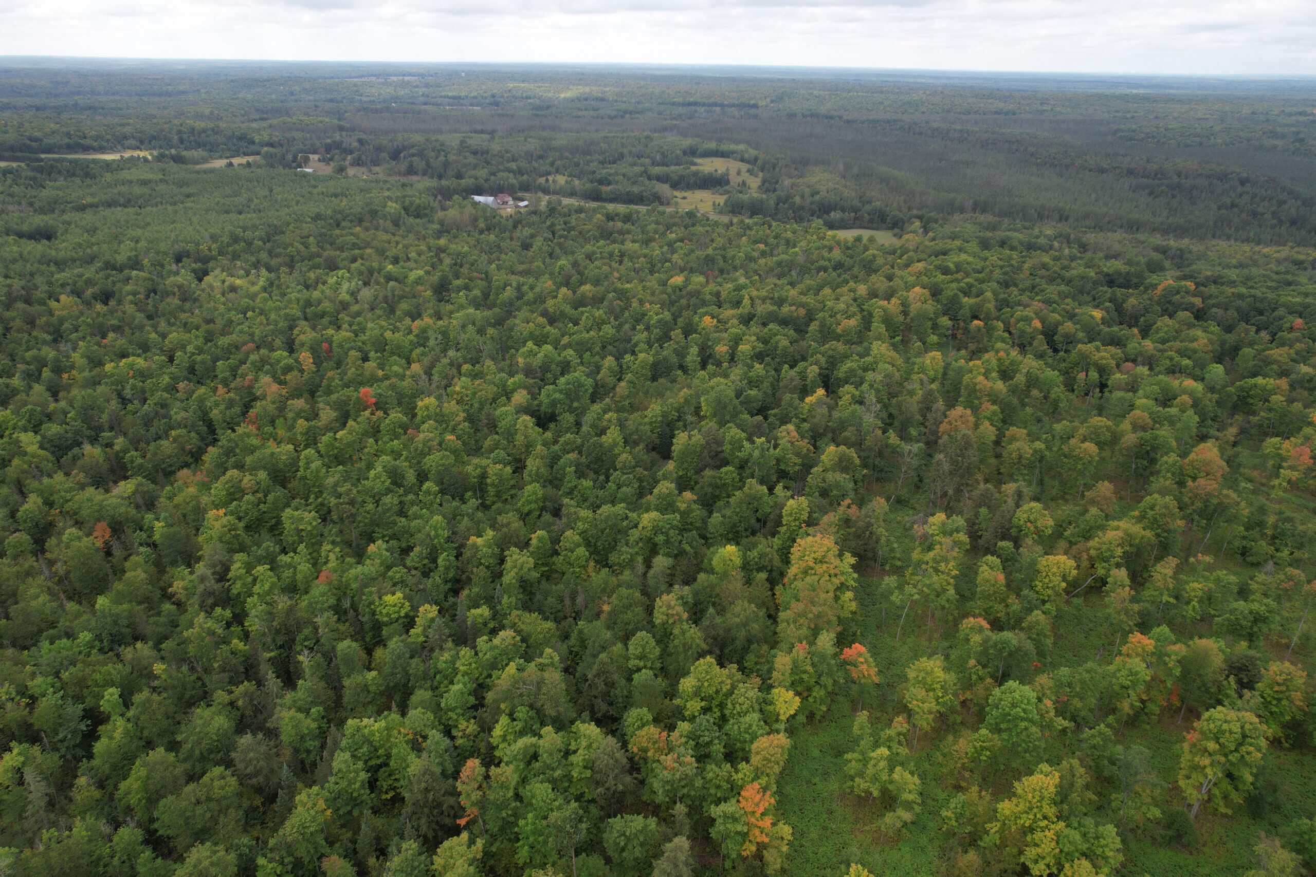 40± Wooded Acres For Sale Near Wisconsin National Forest