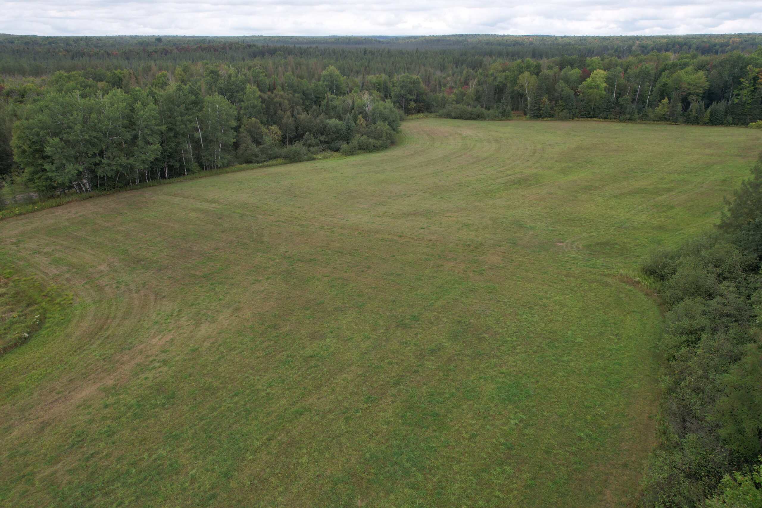40± Wooded Acres For Sale Near Wisconsin National Forest
