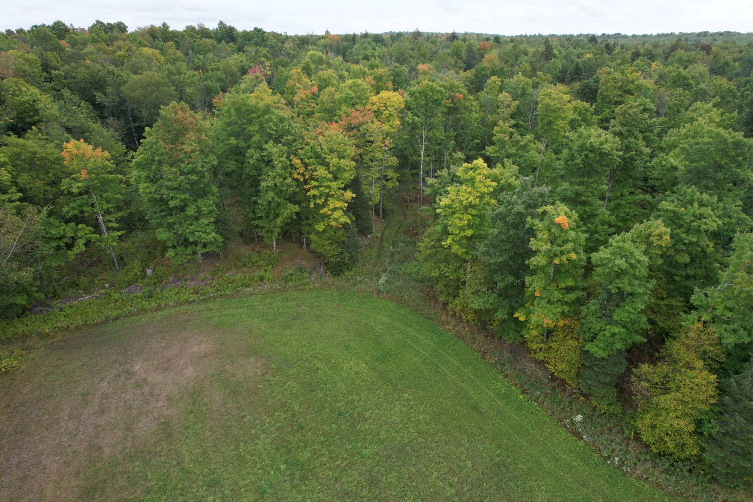 40± Wooded Acres For Sale Near Wisconsin National Forest