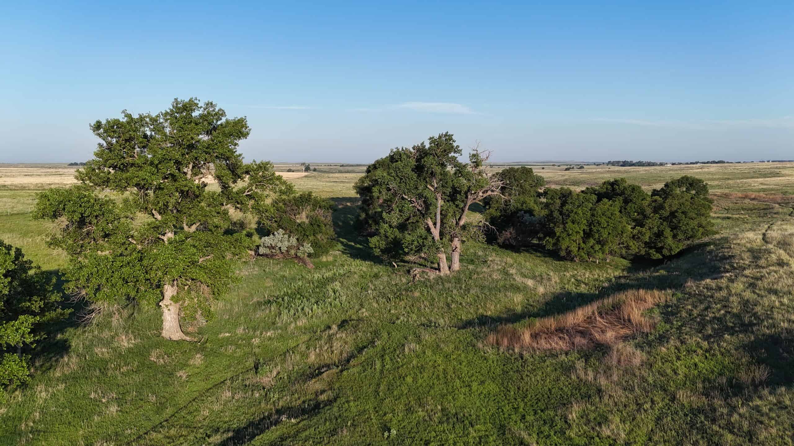 Large Acreage – Chase County Farm, Hunt and Build