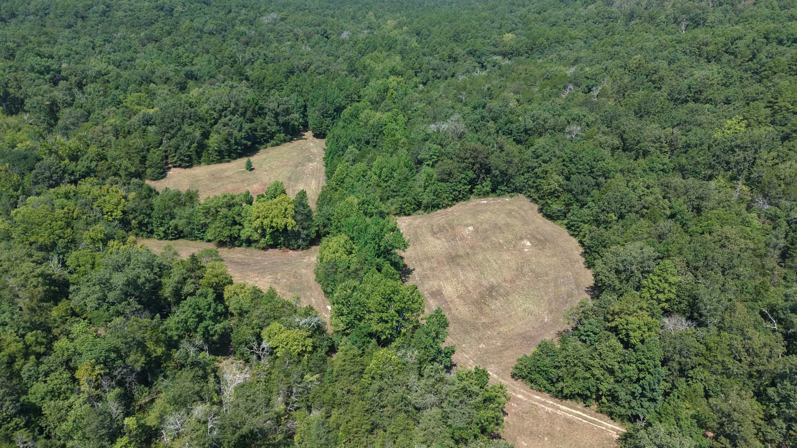HUNTING LAND FOR SALE IN NORTH CENTRAL ARKANSAS