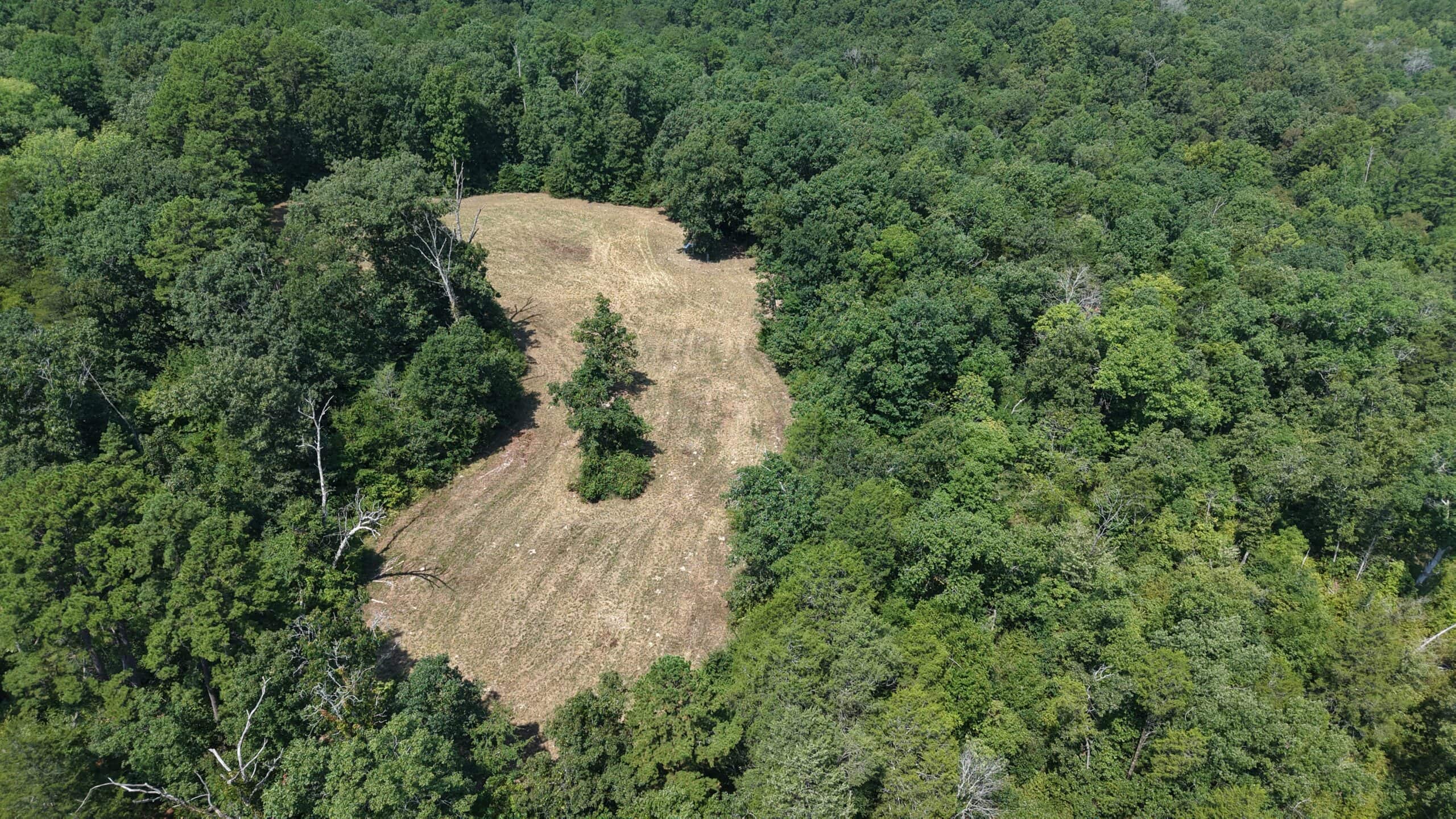 HUNTING LAND FOR SALE IN NORTH CENTRAL ARKANSAS