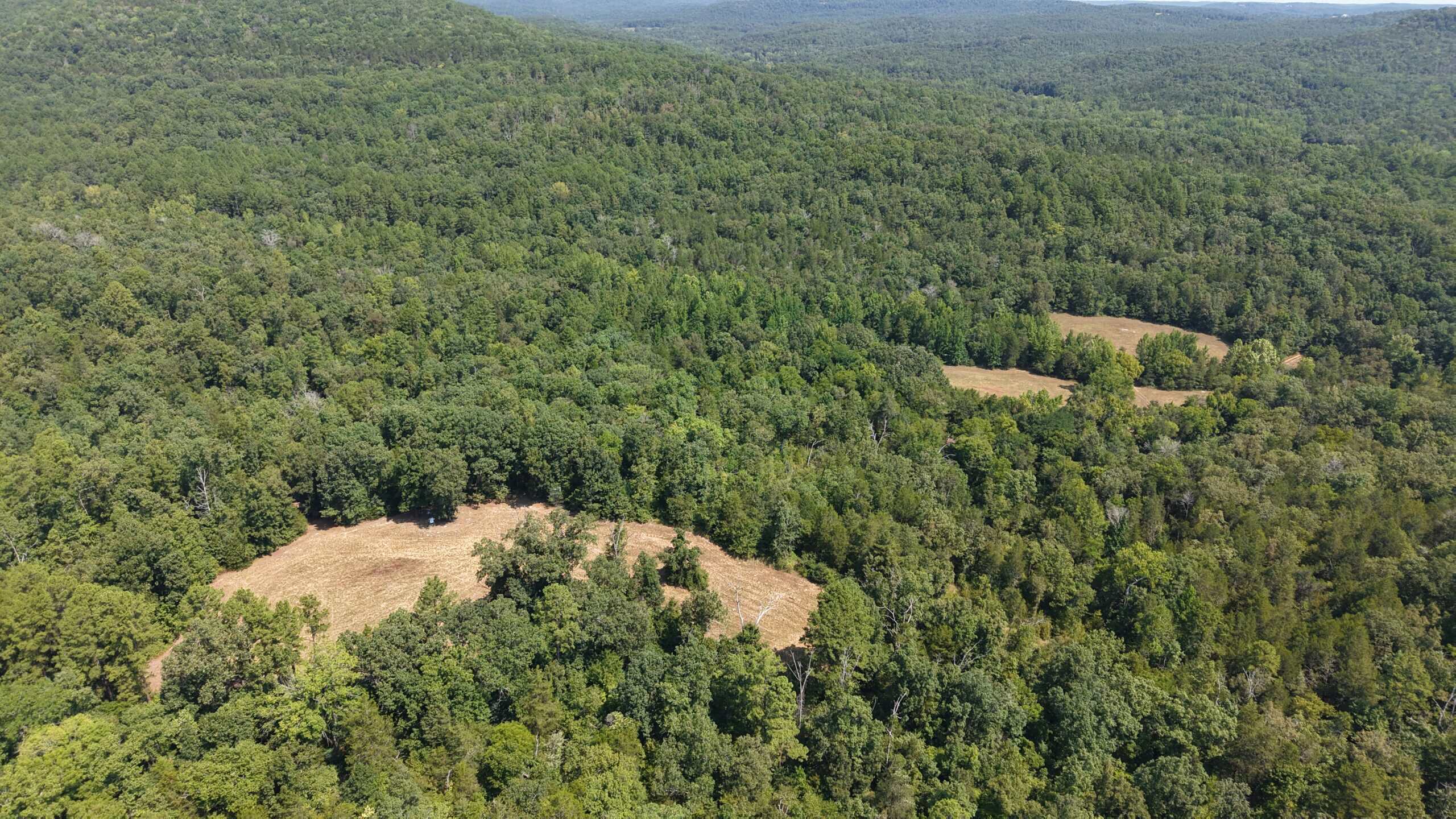 HUNTING LAND FOR SALE IN NORTH CENTRAL ARKANSAS