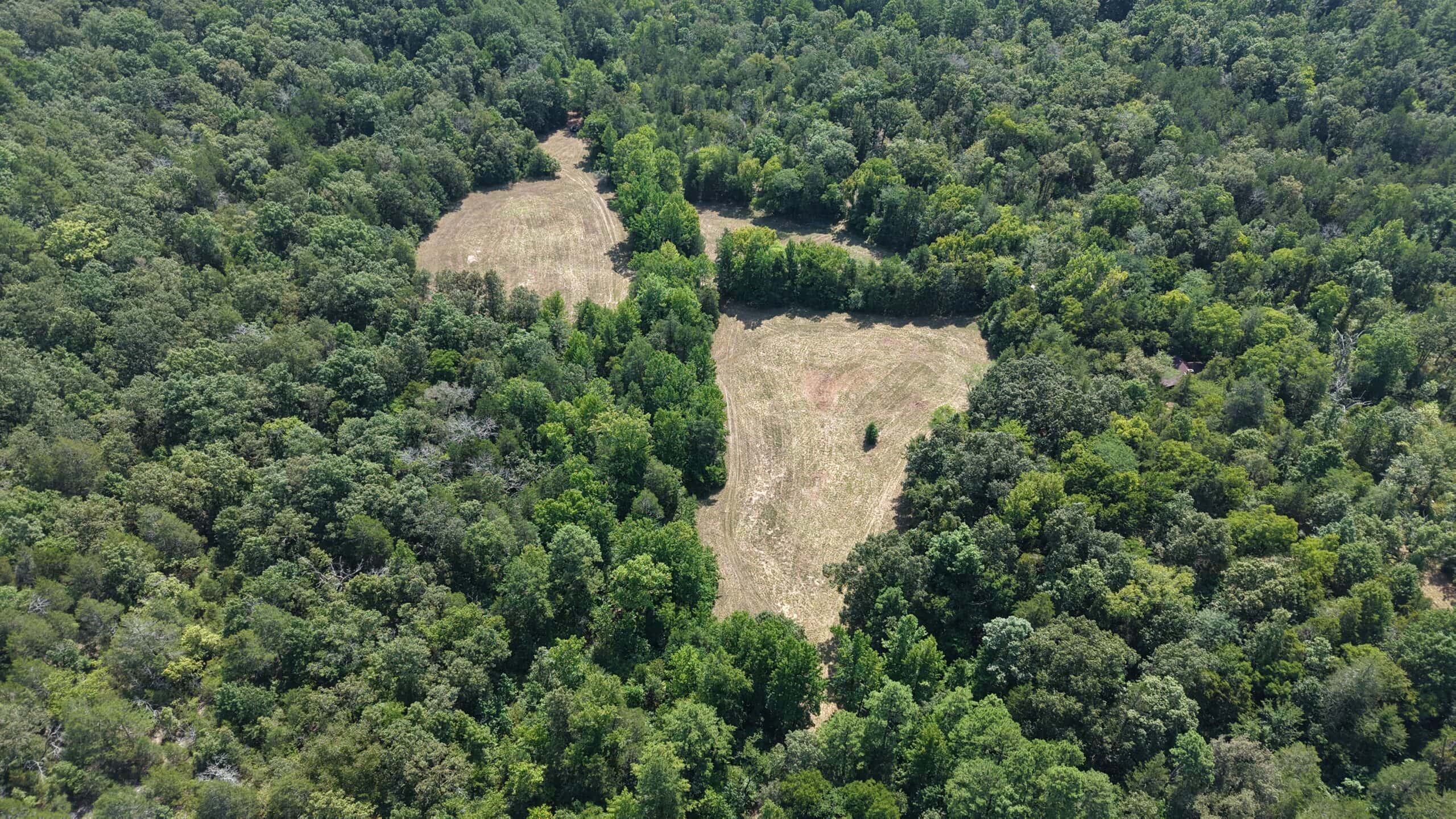 HUNTING LAND FOR SALE IN NORTH CENTRAL ARKANSAS