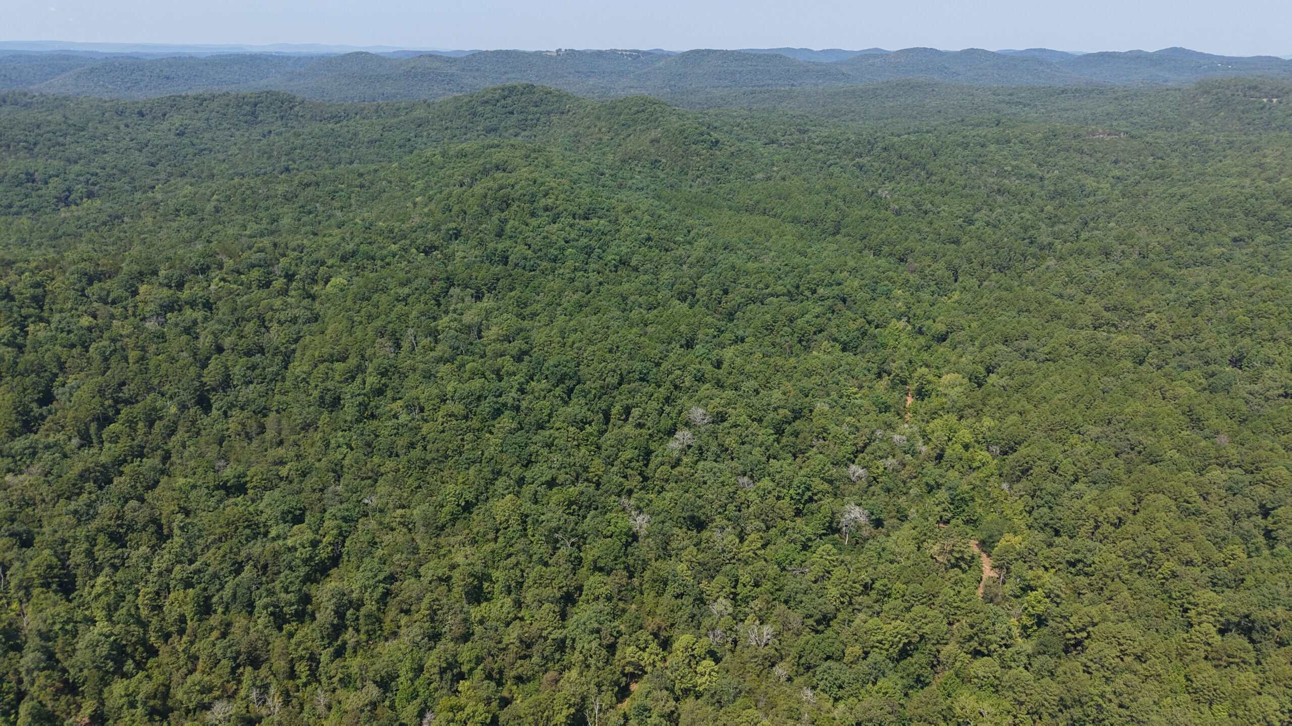 HUNTING LAND FOR SALE IN NORTH CENTRAL ARKANSAS
