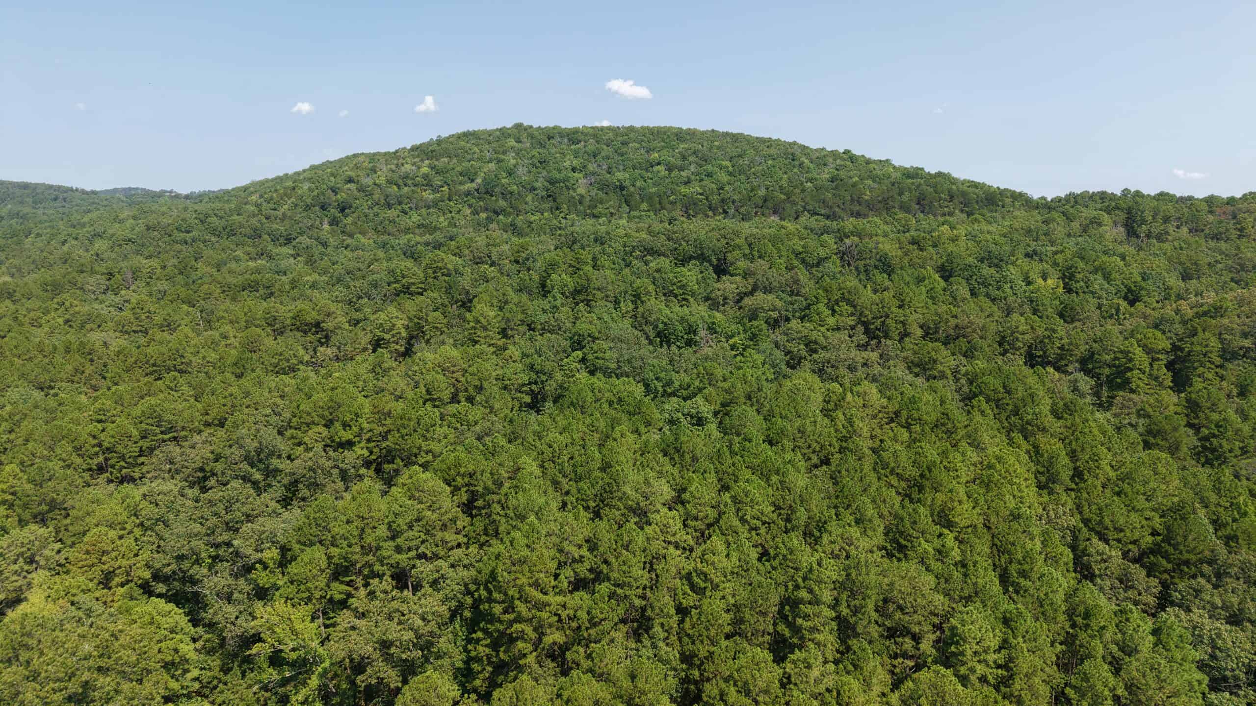 HUNTING LAND FOR SALE IN NORTH CENTRAL ARKANSAS