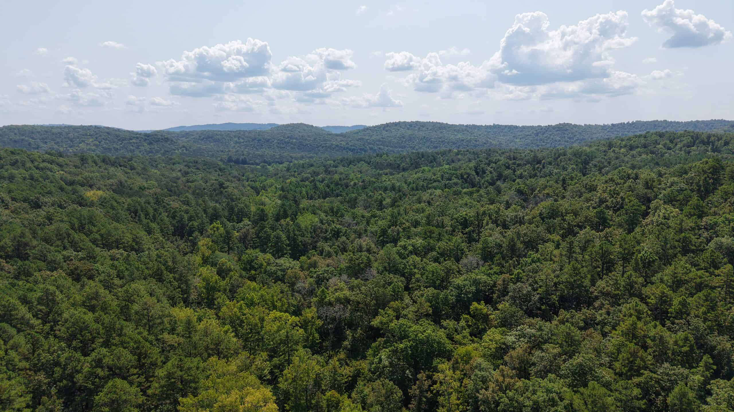 HUNTING LAND FOR SALE IN NORTH CENTRAL ARKANSAS