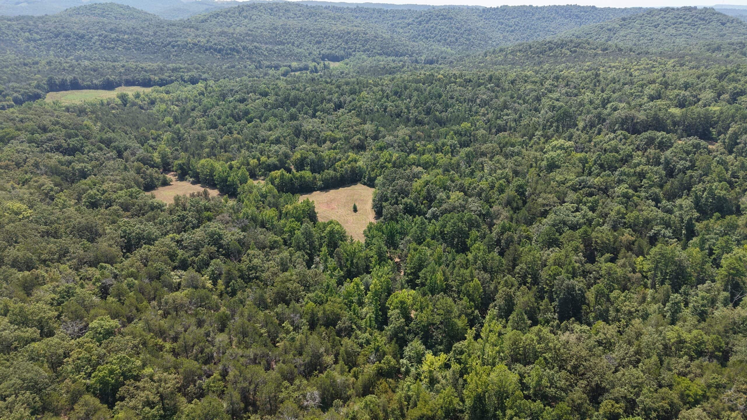 HUNTING LAND FOR SALE IN NORTH CENTRAL ARKANSAS