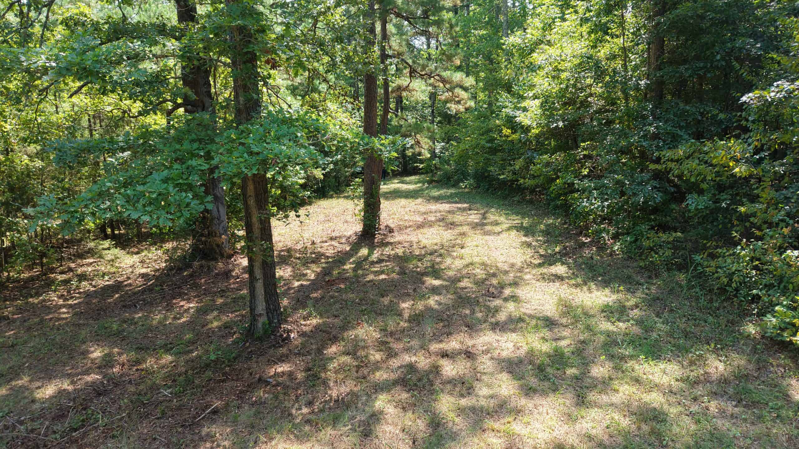 HUNTING LAND FOR SALE IN NORTH CENTRAL ARKANSAS