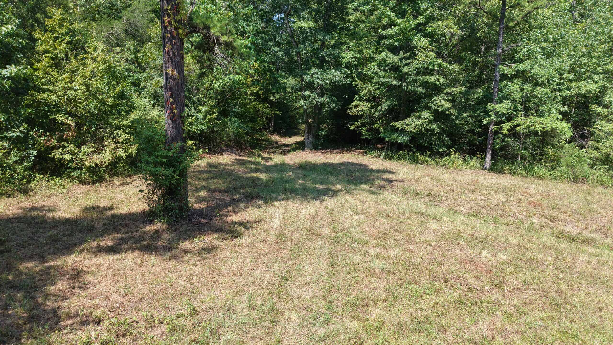 HUNTING LAND FOR SALE IN NORTH CENTRAL ARKANSAS