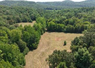 HUNTING LAND FOR SALE IN NORTH CENTRAL ARKANSAS
