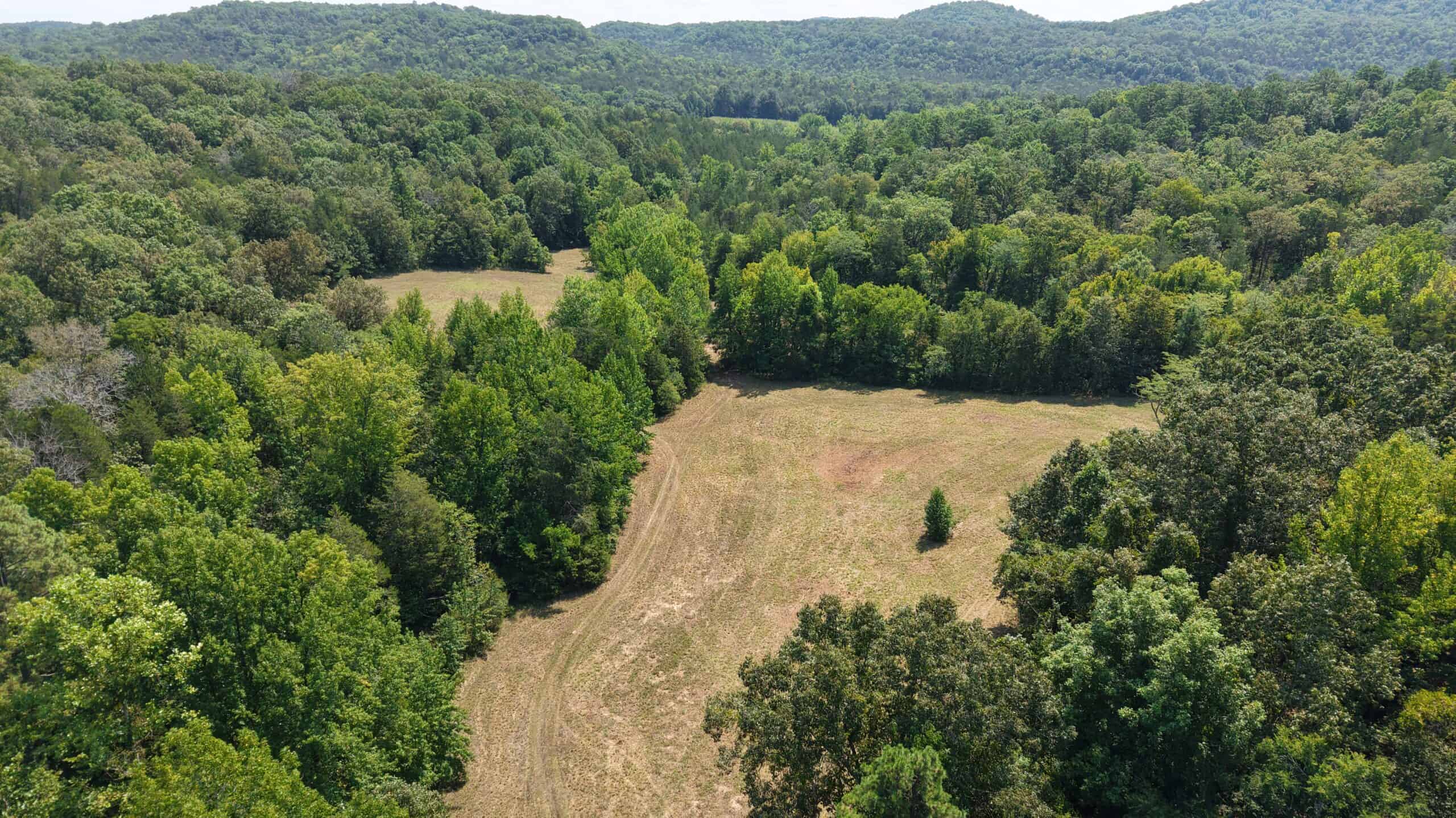 HUNTING LAND FOR SALE IN NORTH CENTRAL ARKANSAS