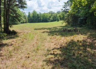 HUNTING LAND FOR SALE IN NORTH CENTRAL ARKANSAS