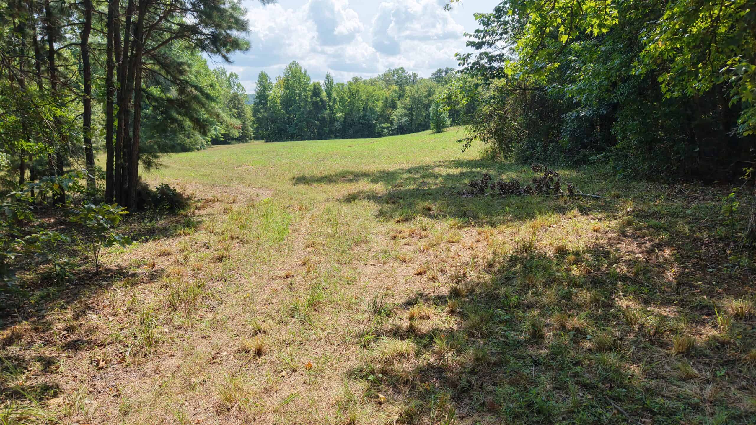 HUNTING LAND FOR SALE IN NORTH CENTRAL ARKANSAS