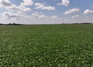 Tbd County Rd NN Sheldon, MO 64784