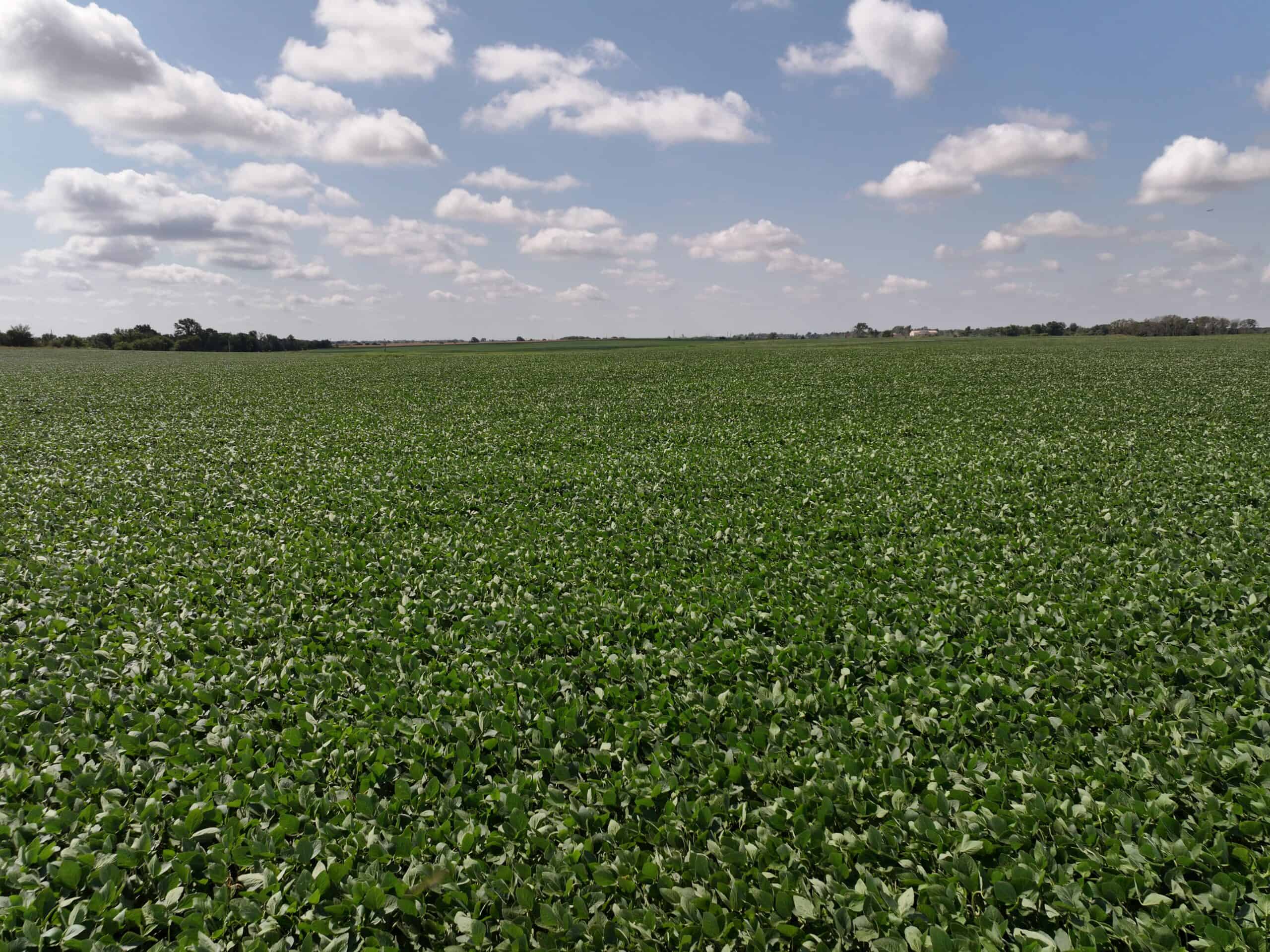 Tbd County Rd NN Sheldon, MO 64784