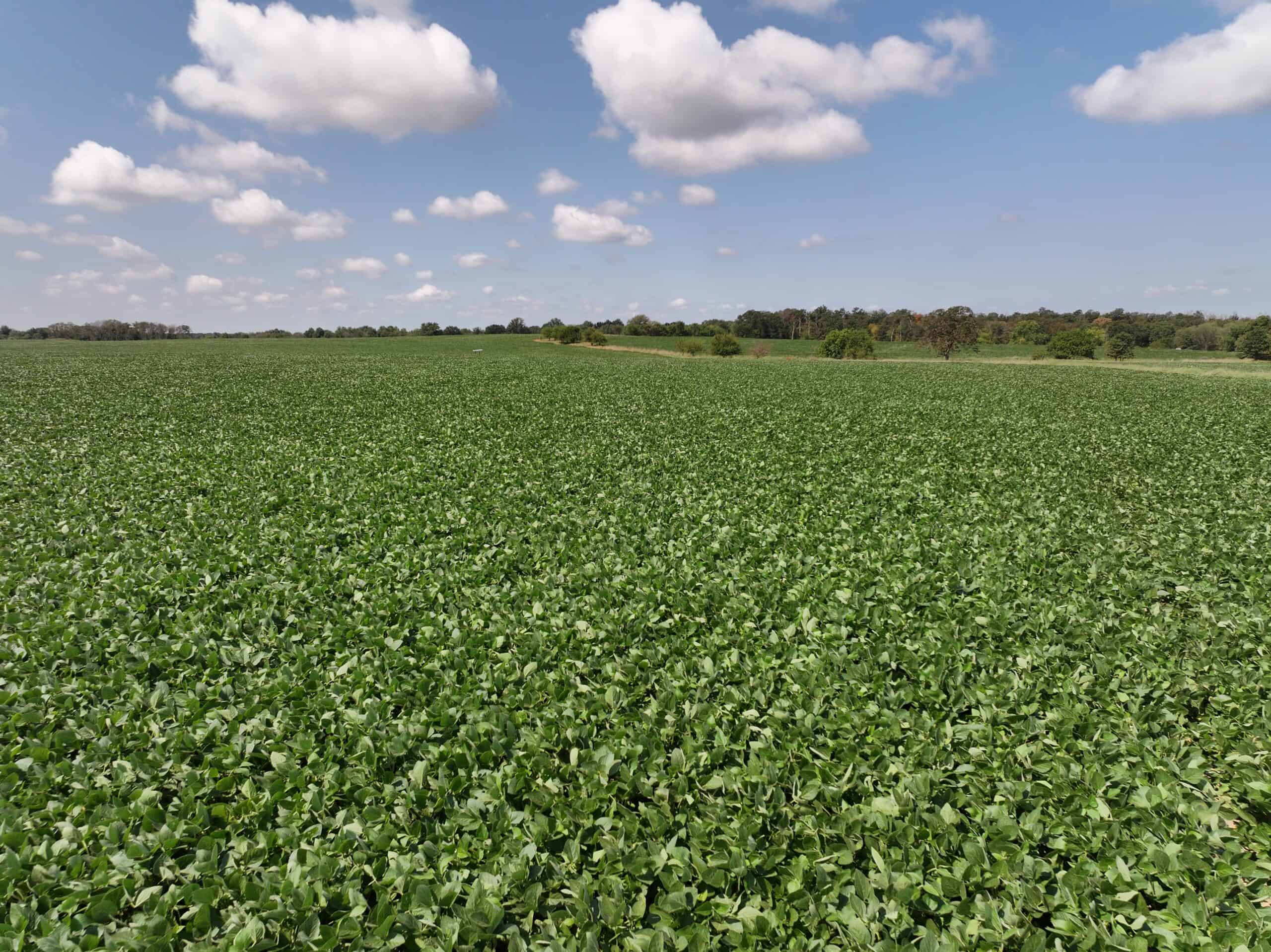 Tbd County Rd NN Sheldon, MO 64784