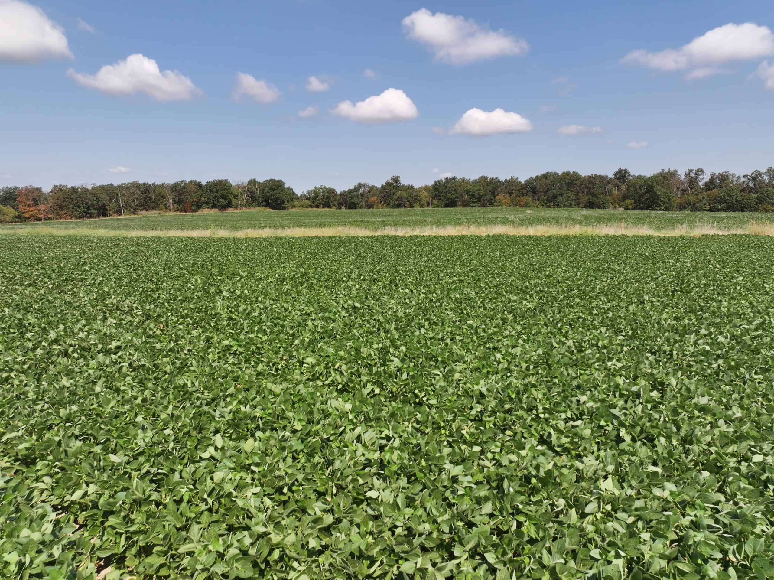 Tbd County Rd NN Sheldon, MO 64784