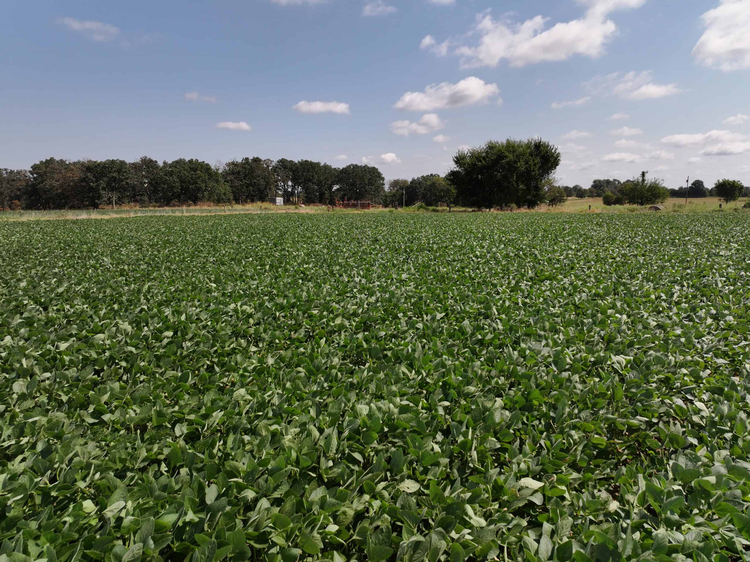 Tbd County Rd NN Sheldon, MO 64784