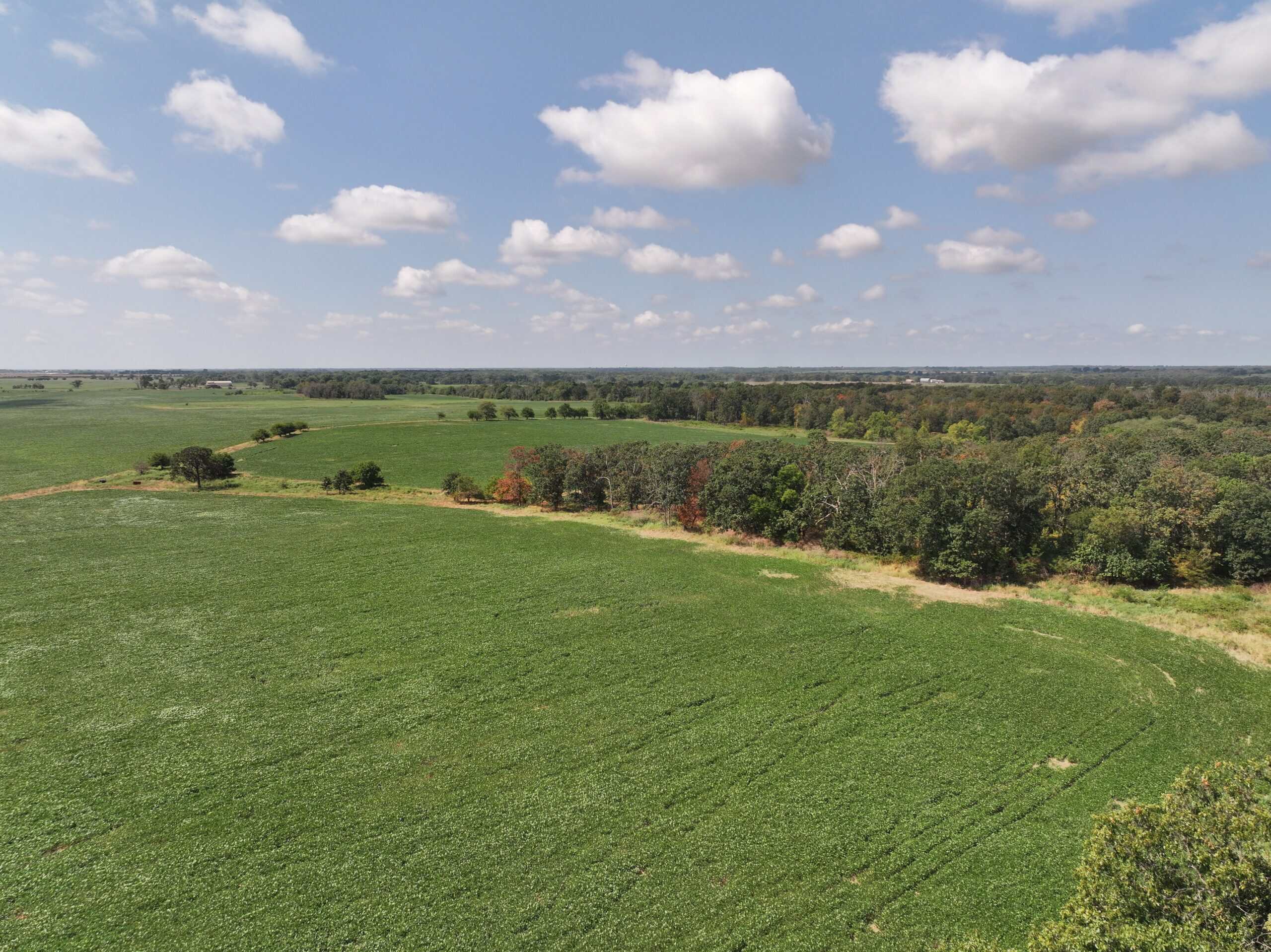 Tbd County Rd NN Sheldon, MO 64784