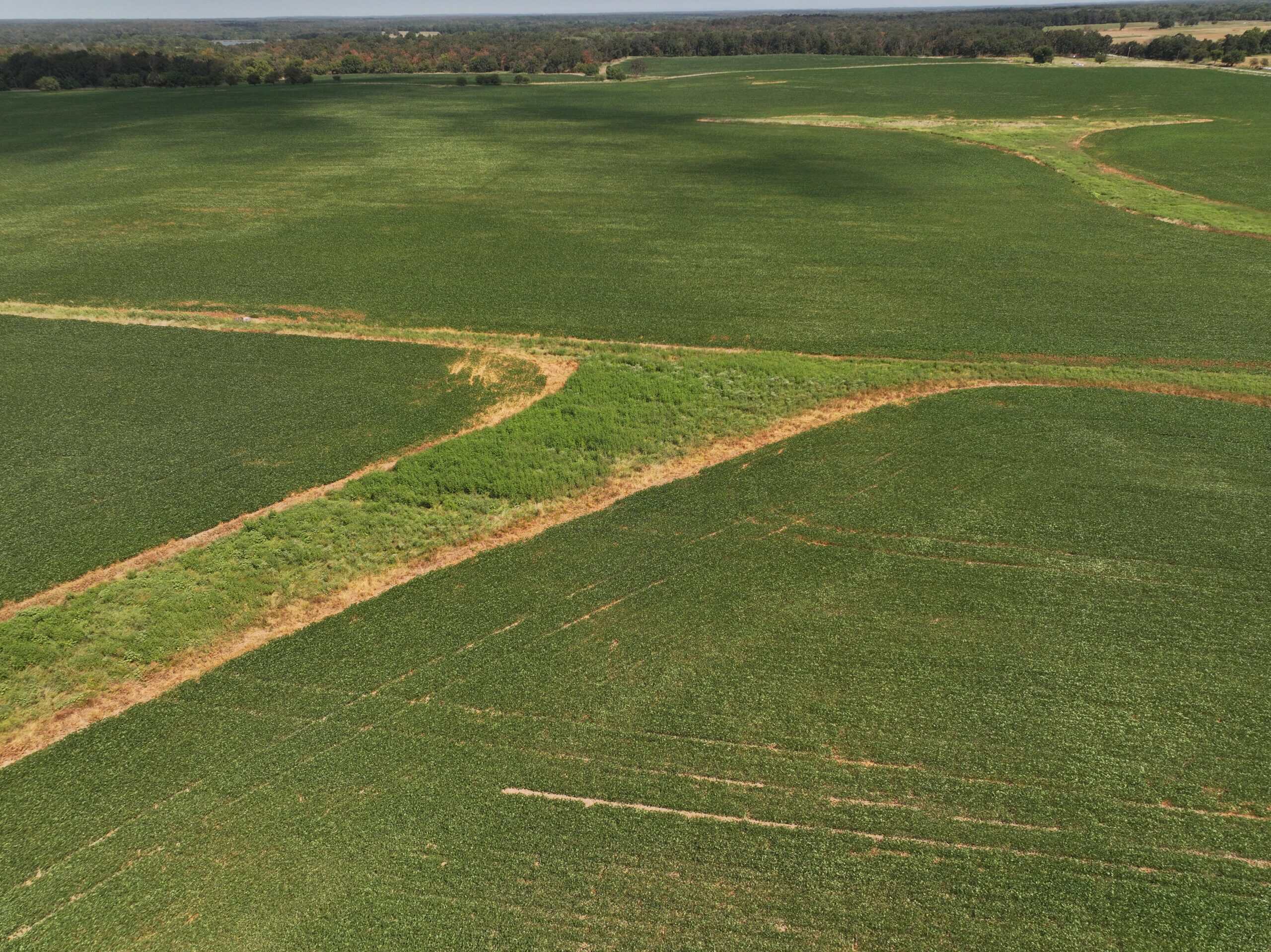 Tbd County Rd NN Sheldon, MO 64784