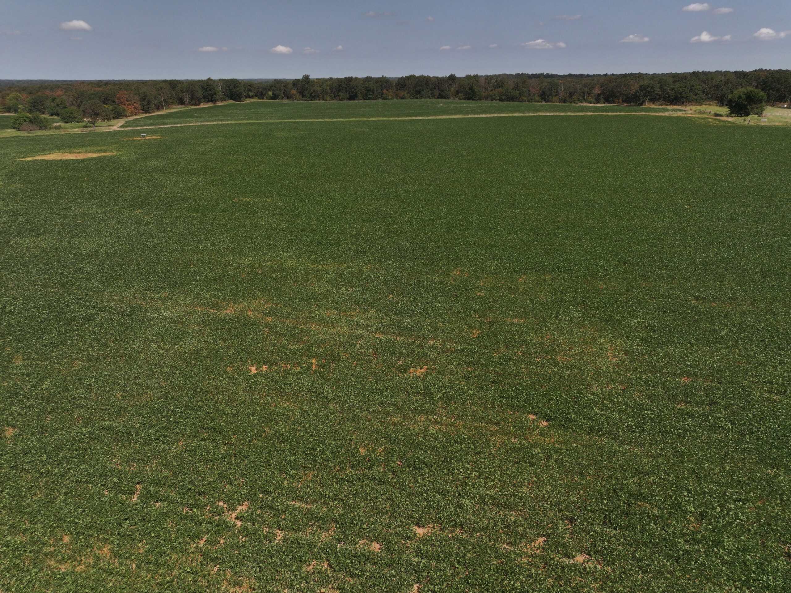 Tbd County Rd NN Sheldon, MO 64784