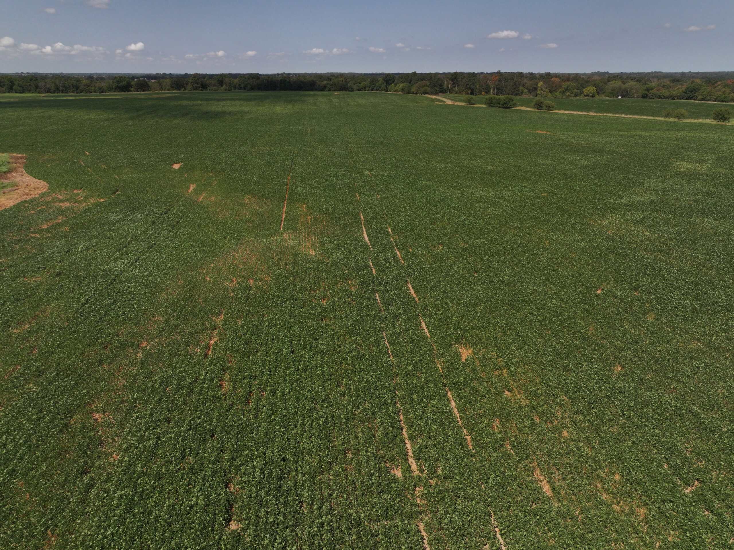 Tbd County Rd NN Sheldon, MO 64784