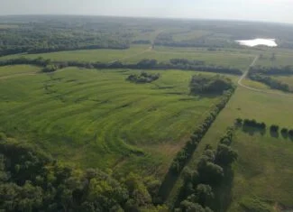 71 Acres m/l Row Crop Farm – Ridgeway, MO