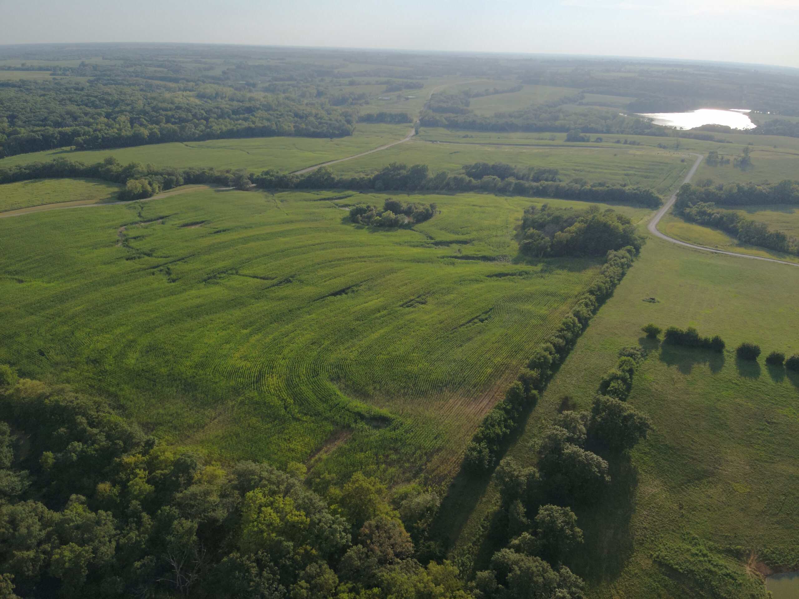 71 Acres m/l Row Crop Farm – Ridgeway, MO