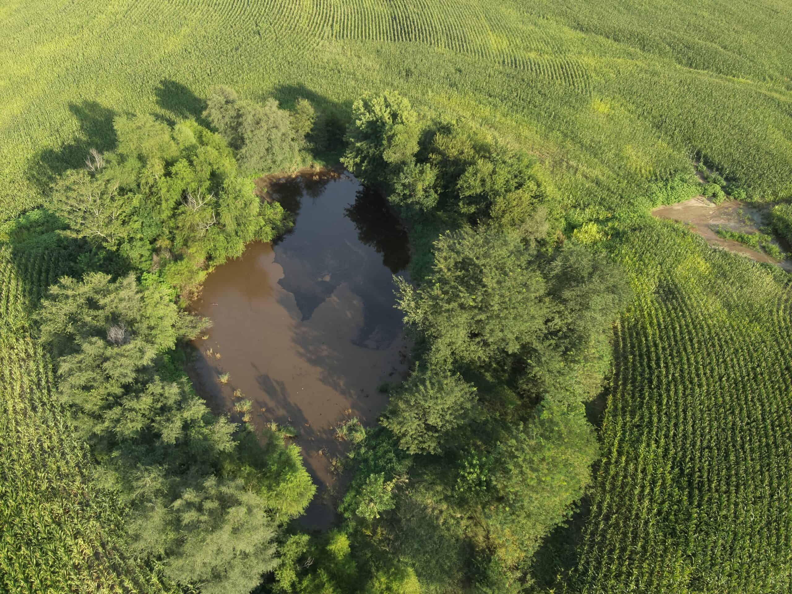 71 Acres m/l Row Crop Farm – Ridgeway, MO