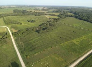 71 Acres m/l Row Crop Farm – Ridgeway, MO