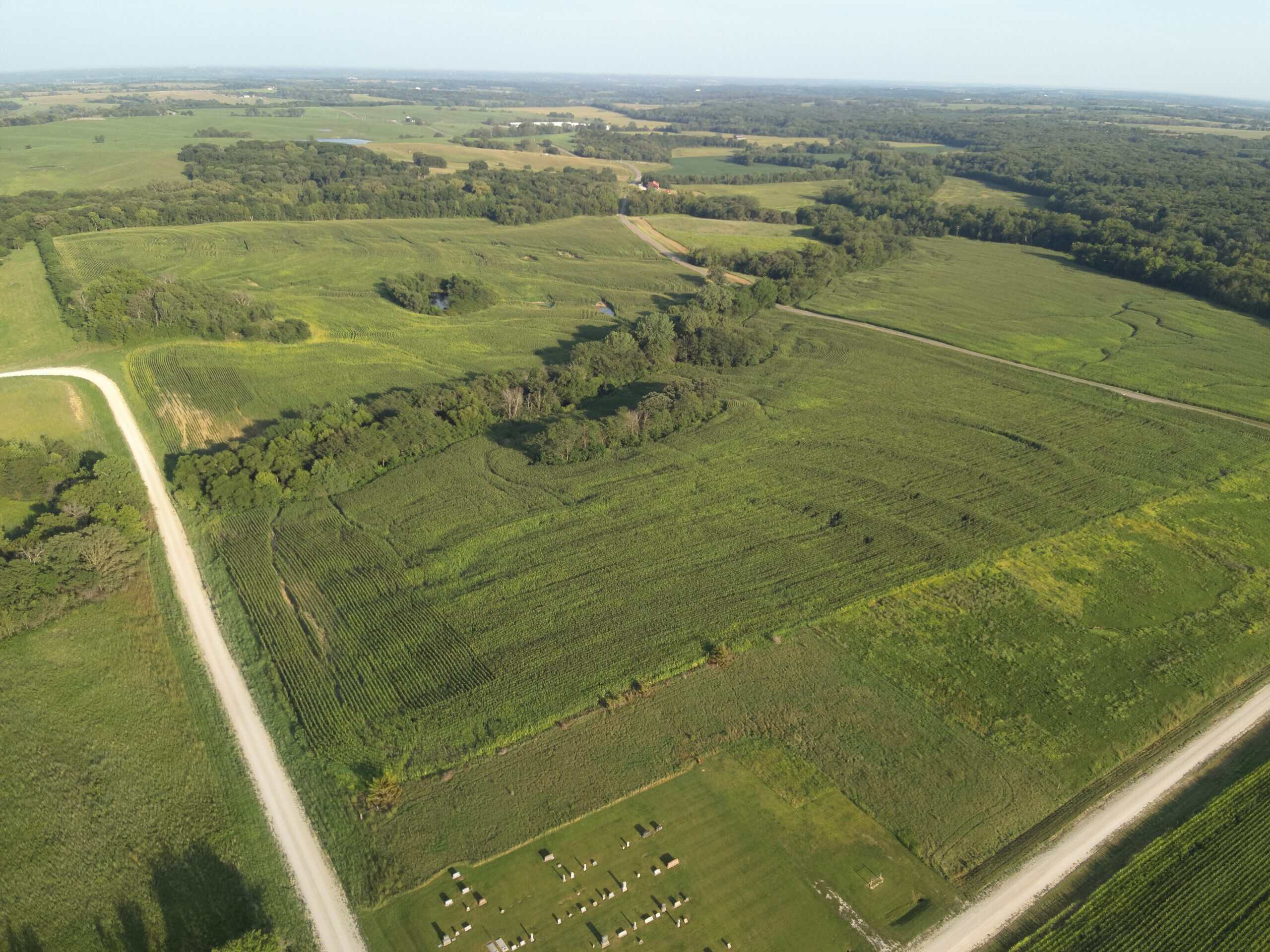 71 Acres m/l Row Crop Farm – Ridgeway, MO