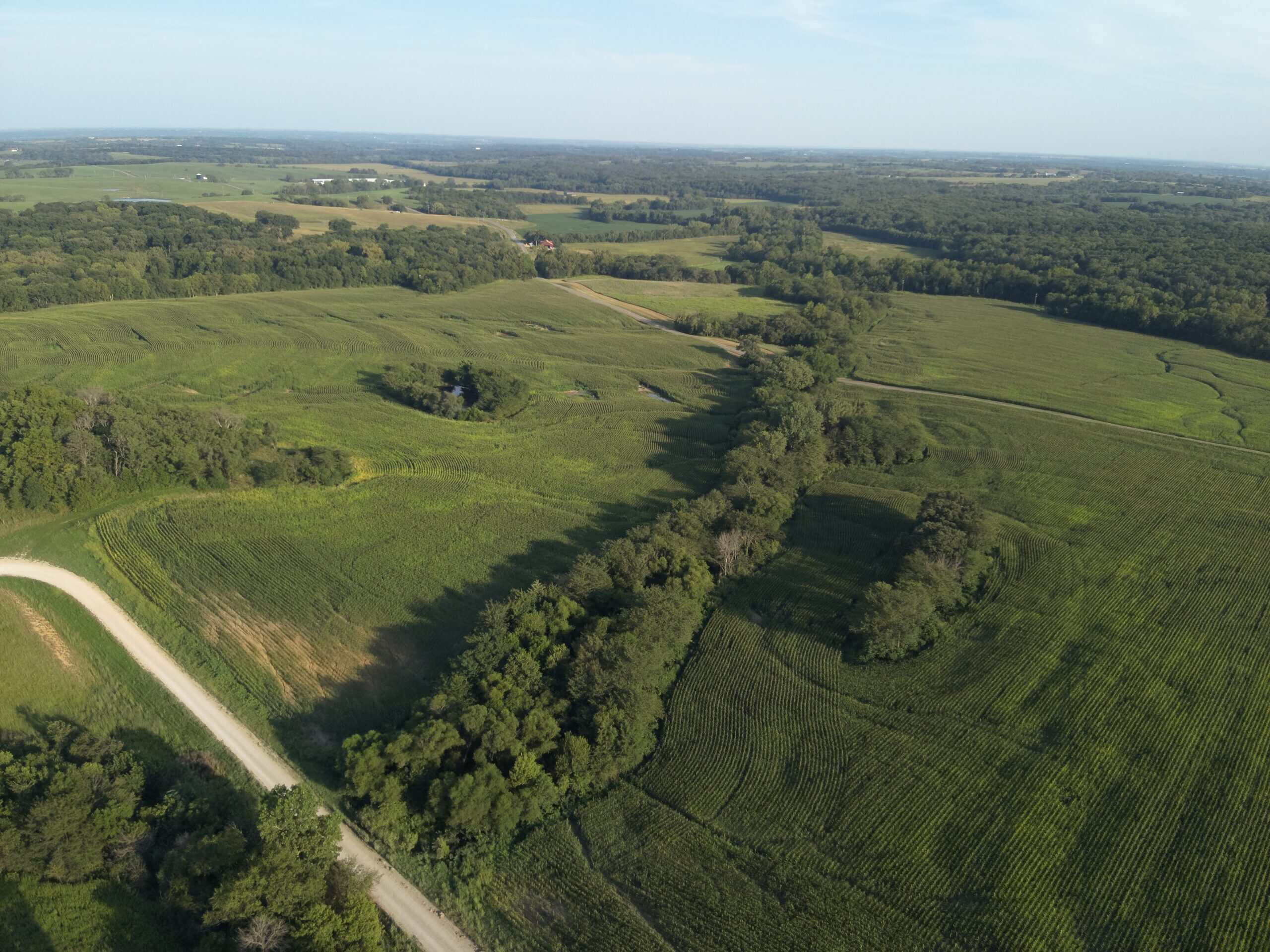 71 Acres m/l Row Crop Farm – Ridgeway, MO