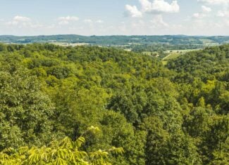 89.608 Acres | Claiborne County, TN | Adjoins Cumberland Trail – Auction