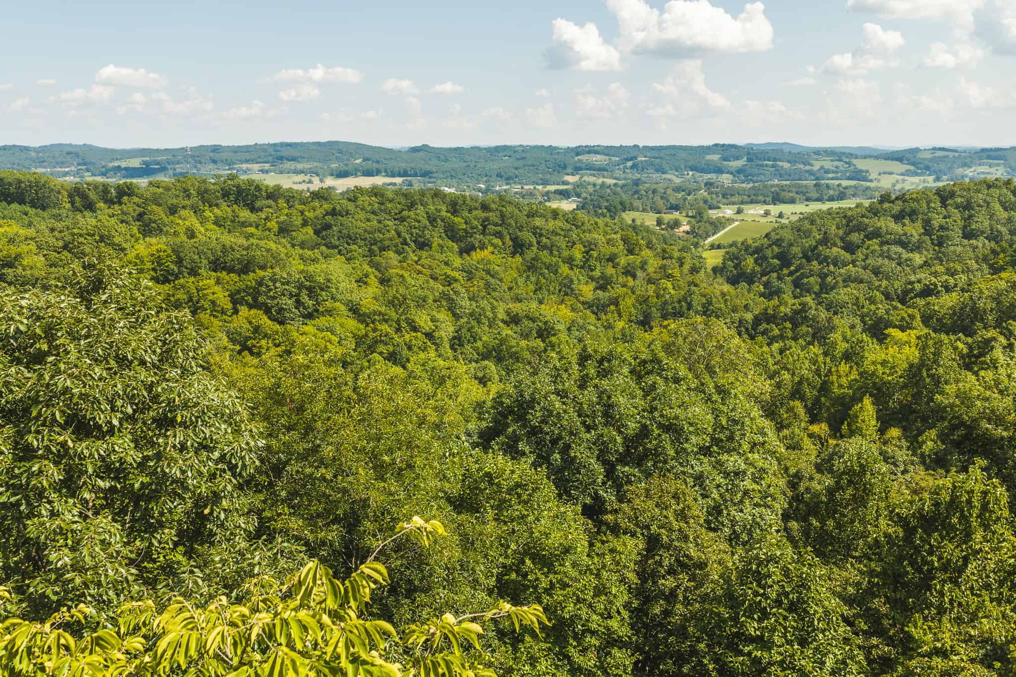 89.608 Acres | Claiborne County, TN | Adjoins Cumberland Trail – Auction