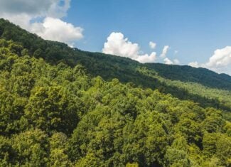 89.608 Acres | Claiborne County, TN | Adjoins Cumberland Trail – Auction