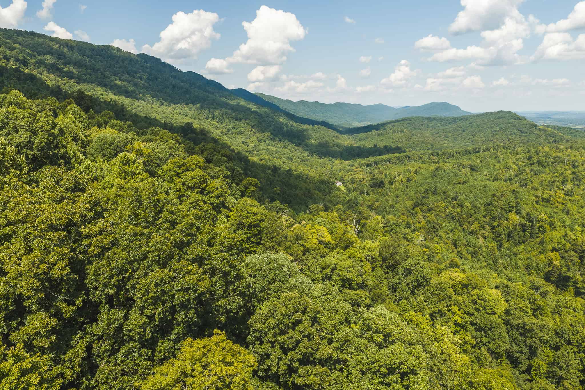 89.608 Acres | Claiborne County, TN | Adjoins Cumberland Trail – Auction