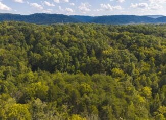 Unrestricted Riverfront Land in Hawkins County, TN-Holston River