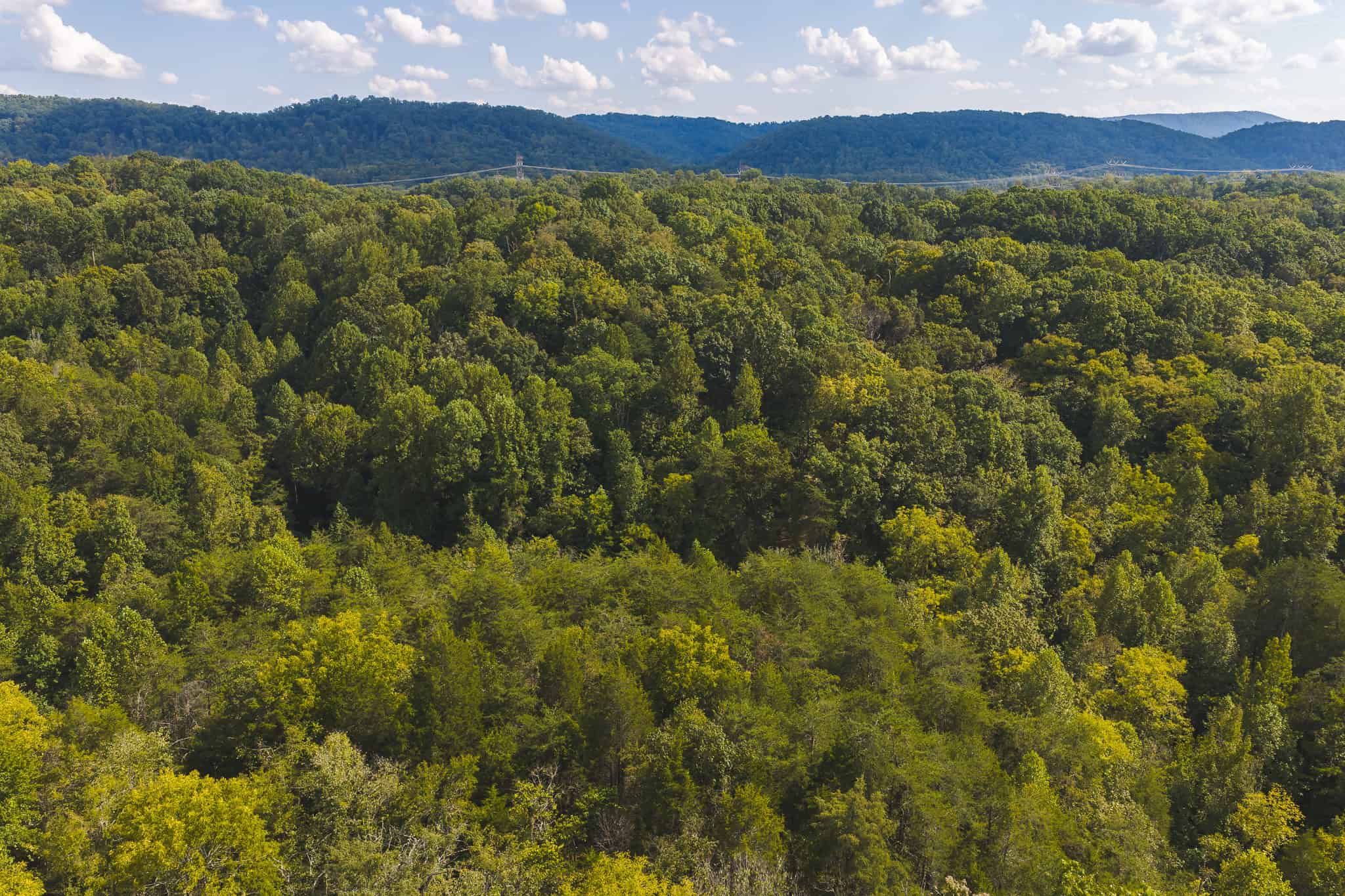 Unrestricted Riverfront Land in Hawkins County, TN-Holston River