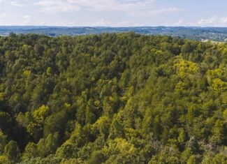 Unrestricted Riverfront Land in Hawkins County, TN-Holston River