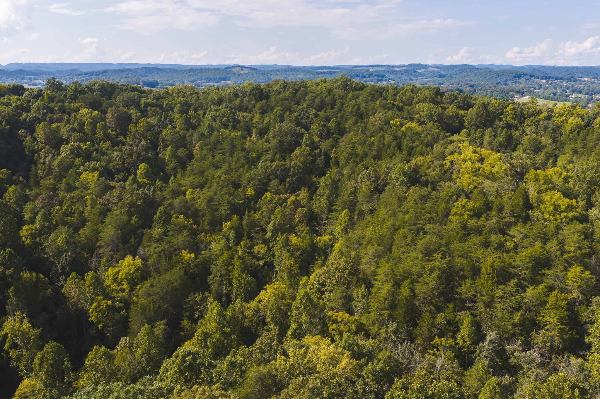 Unrestricted Riverfront Land in Hawkins County, TN-Holston River