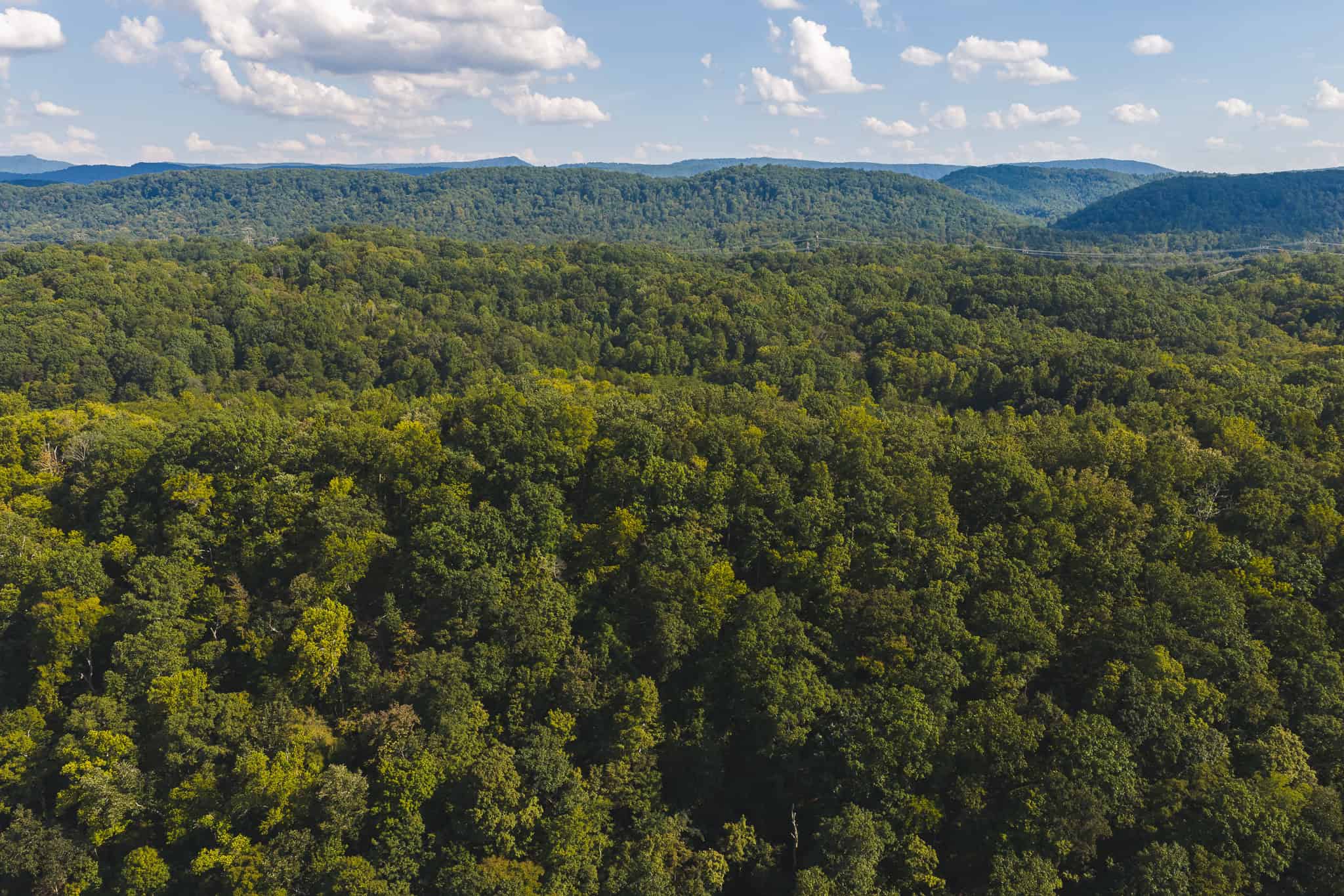 Unrestricted Riverfront Land in Hawkins County, TN-Holston River