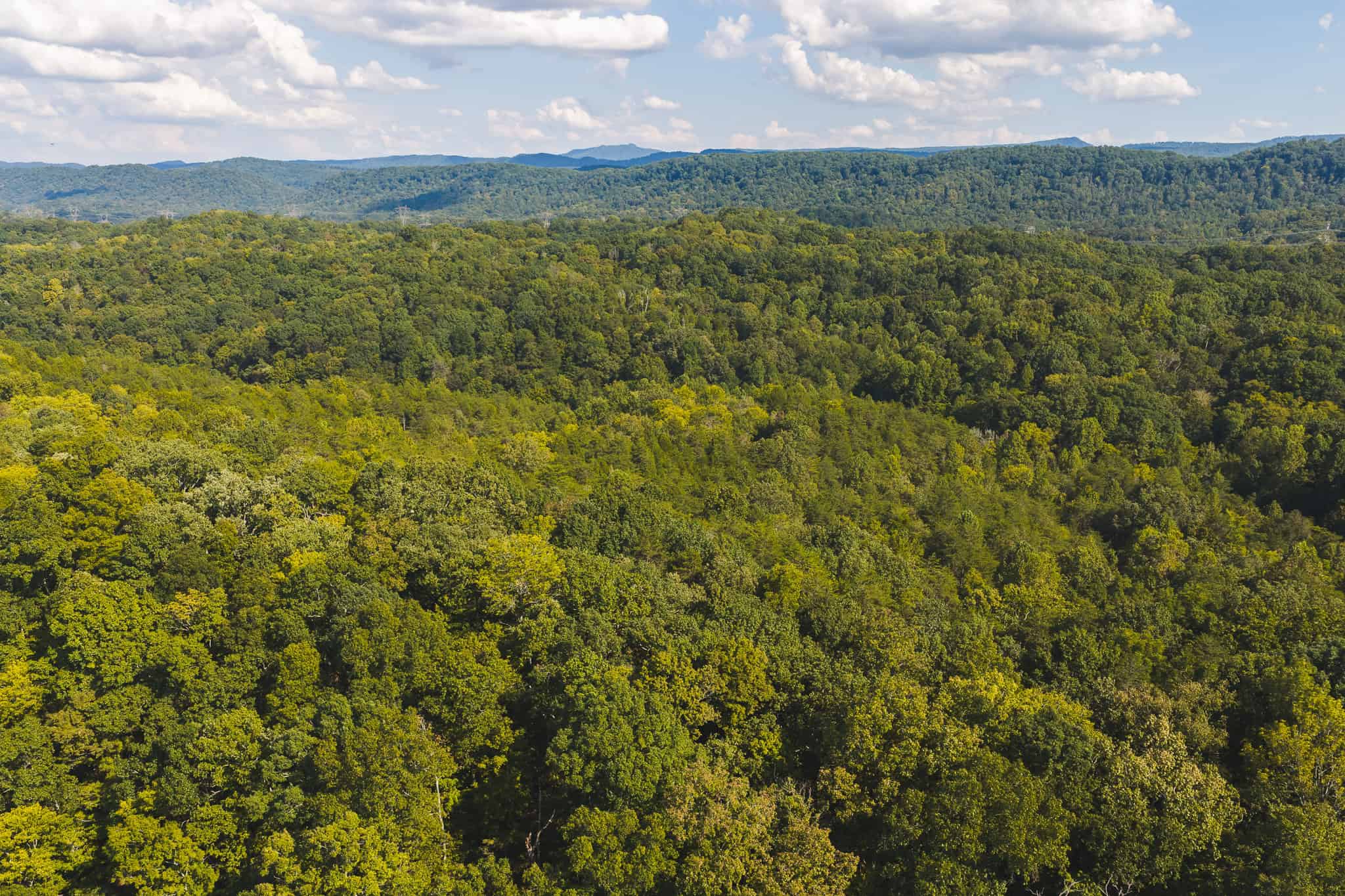 Unrestricted Riverfront Land in Hawkins County, TN-Holston River