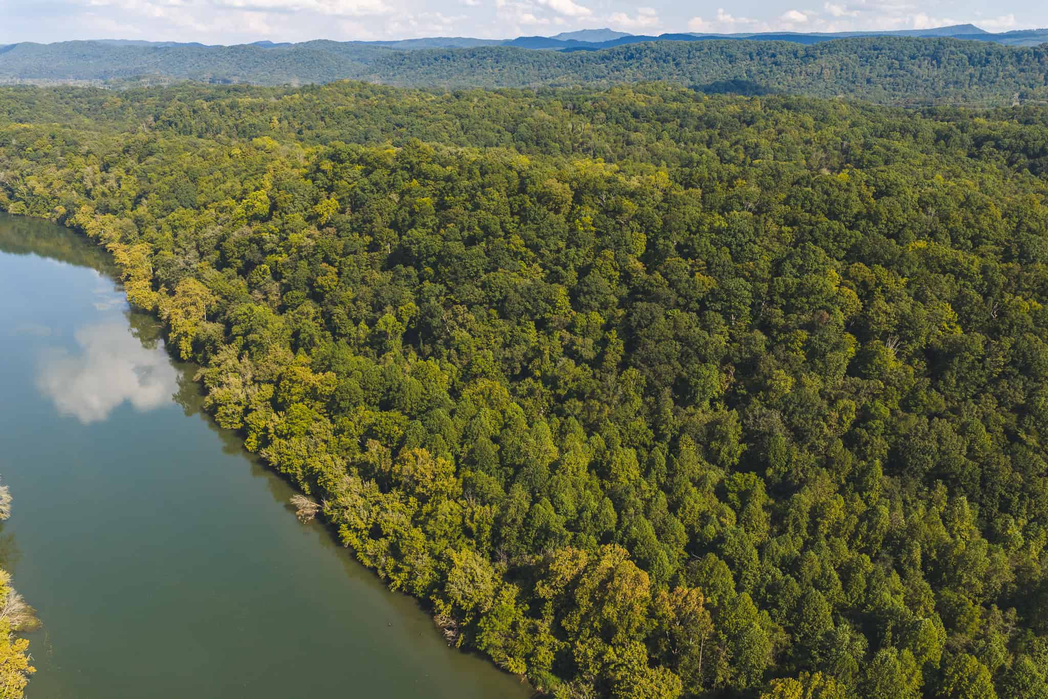 Unrestricted Riverfront Land in Hawkins County, TN-Holston River