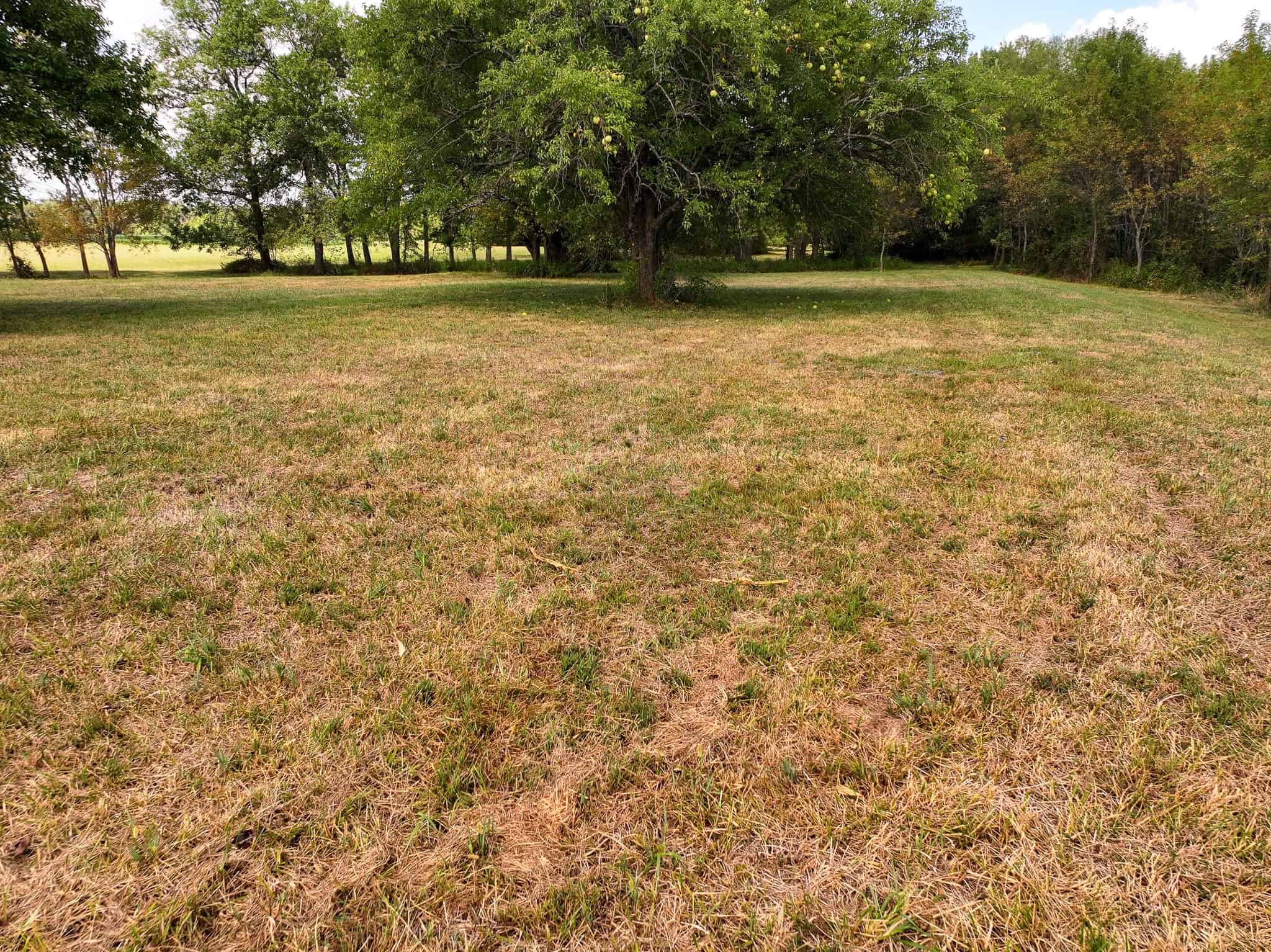 672 SW 15TH RD, LIBERAL, MO, 64762
