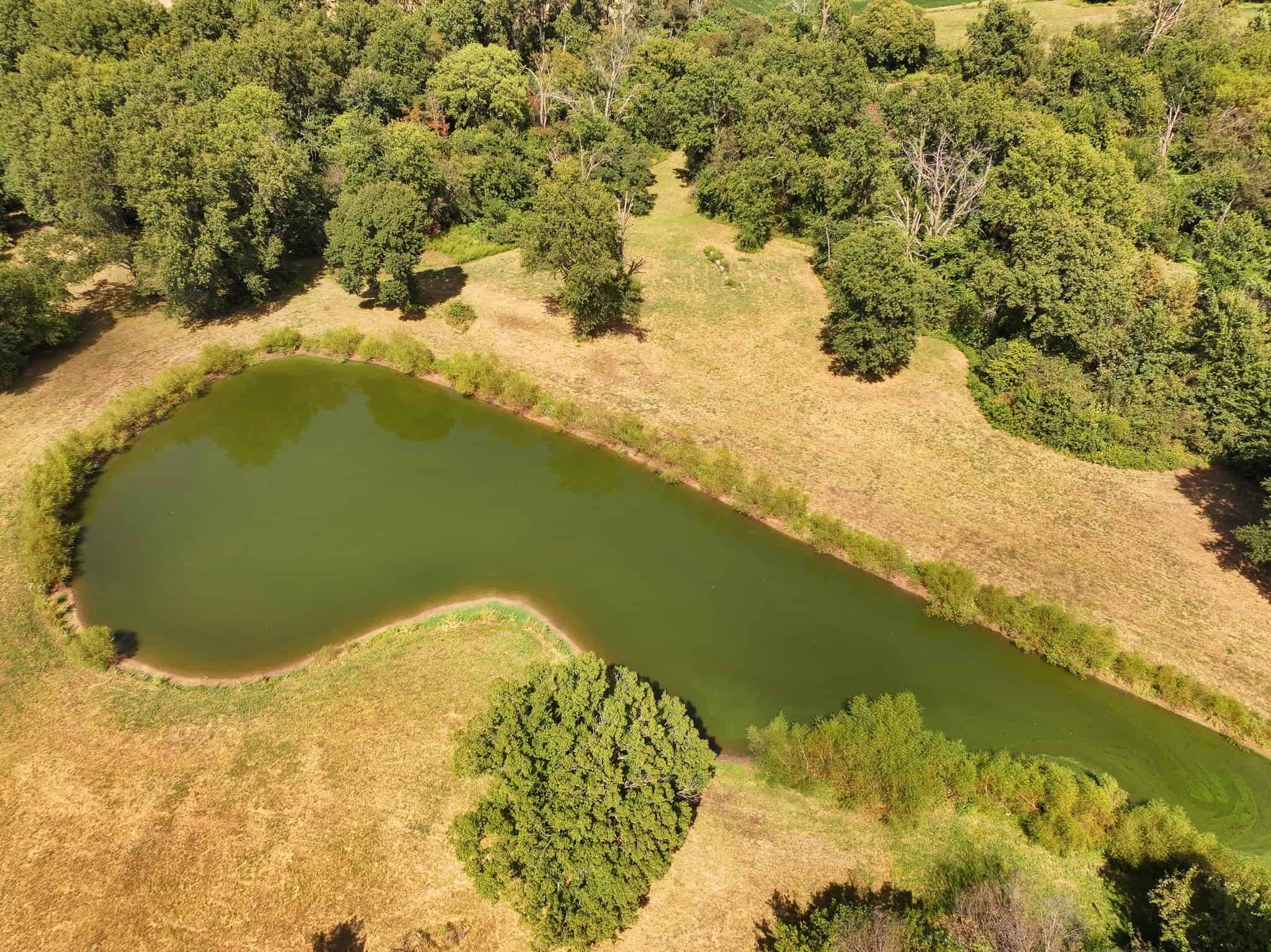 672 SW 15TH RD, LIBERAL, MO, 64762