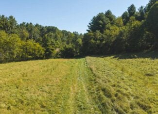 Large Recreational Tract for Sale in Bent Mountain VA