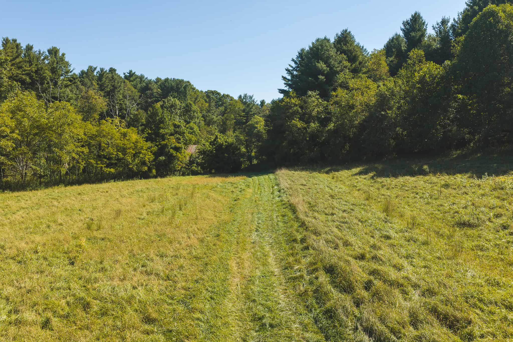 Large Recreational Tract for Sale in Bent Mountain VA