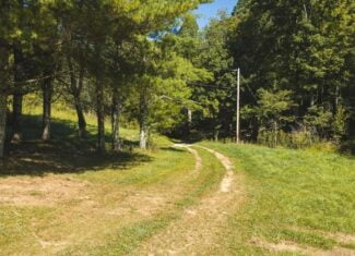 Large Recreational Tract for Sale in Bent Mountain VA