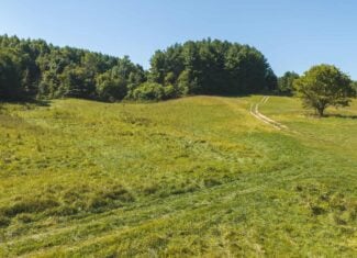 Large Recreational Tract for Sale in Bent Mountain VA